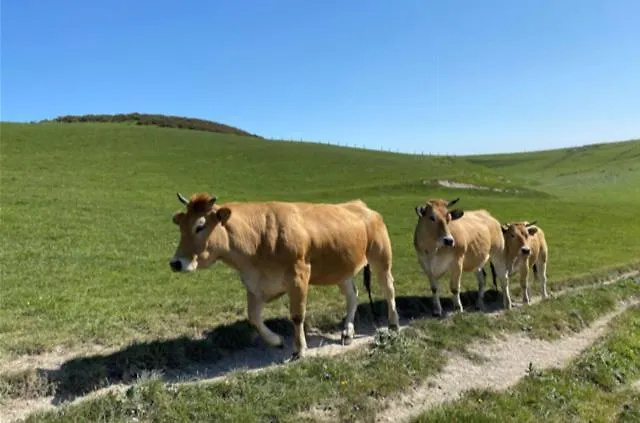 Du Golf Szálloda 3*